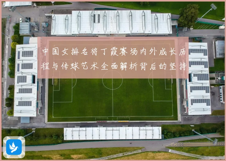 中国女排名将丁霞赛场内外成长历程与传球艺术全面解析背后的坚持精神