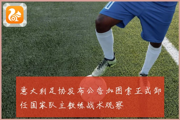 意大利足协发布公告加图索正式卸任国家队主教练战术观察