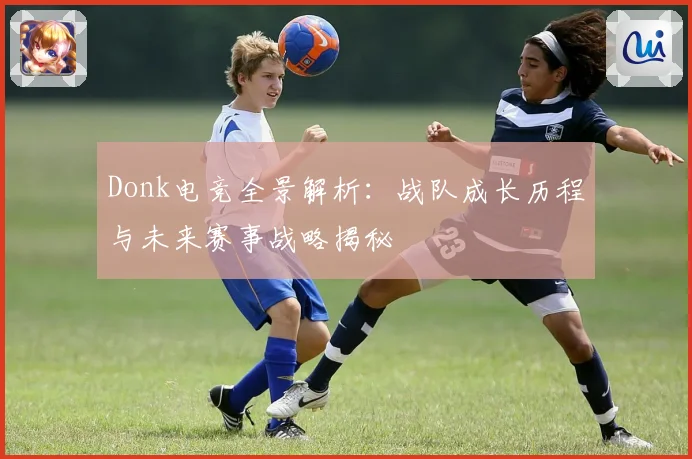 Donk电竞全景解析：战队成长历程与未来赛事战略揭秘