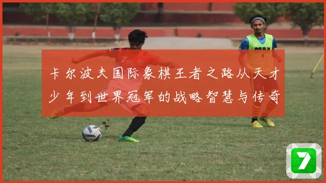 卡尔波夫国际象棋王者之路从天才少年到世界冠军的战略智慧与传奇人生
