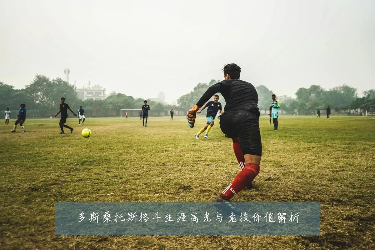 多斯桑托斯格斗生涯高光与竞技价值解析