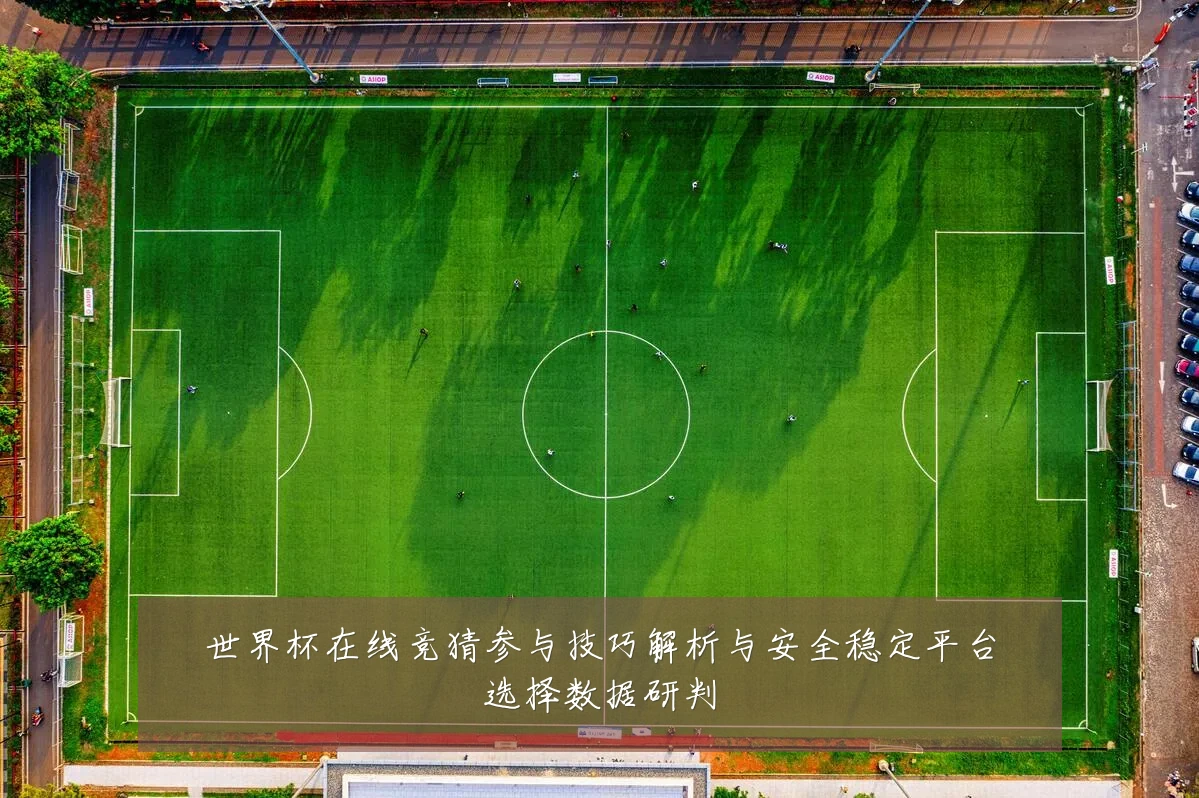 世界杯在线竞猜参与技巧解析与安全稳定平台选择数据研判